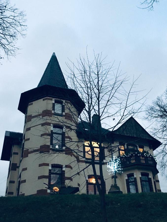 Turmvilla Vogtland Oelsnitz  Eksteriør billede